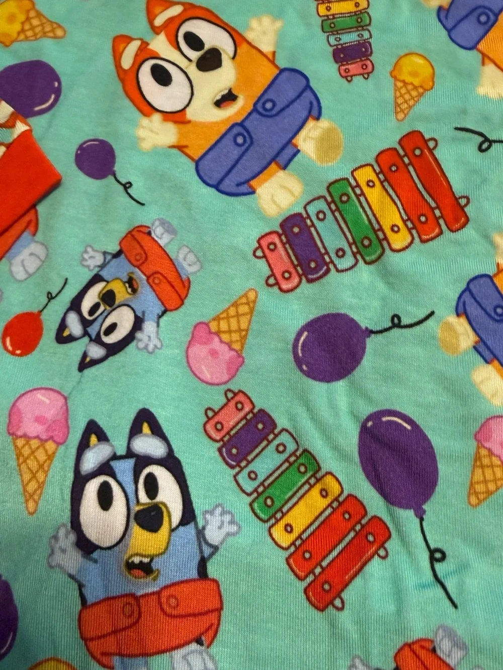 Little Snuggles Boys Girls Size 12T Bluey Bamboo Two Piece Pajamas New NWT